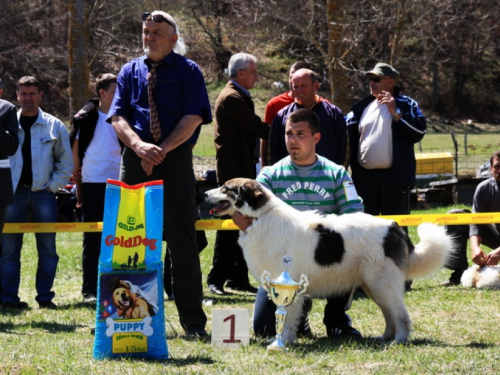 FOTO/VIDEO: Specijalka Tornjaka Rama 2012.