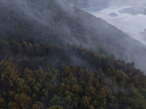FOTO/VIDEO: Lokaliziran požar u Rami
