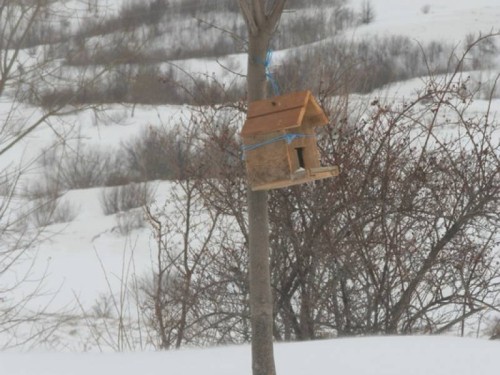 FOTO: Cesta prema Tomislavgradu prohodna