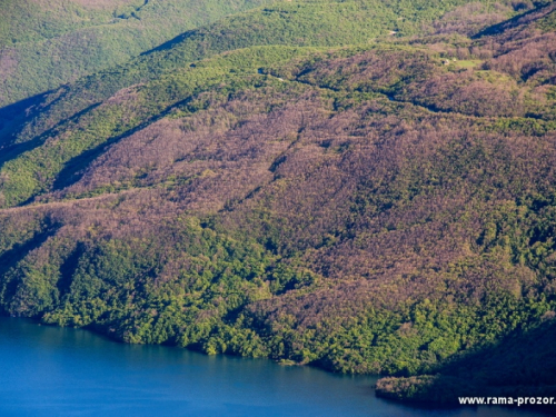 Ramske šume postale popularne za izbirljive turiste