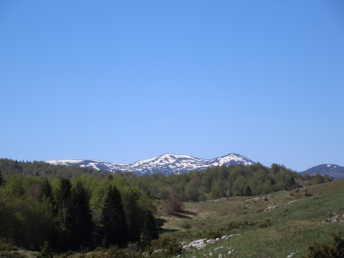 FOTO: Od Maglica do Pasije stine