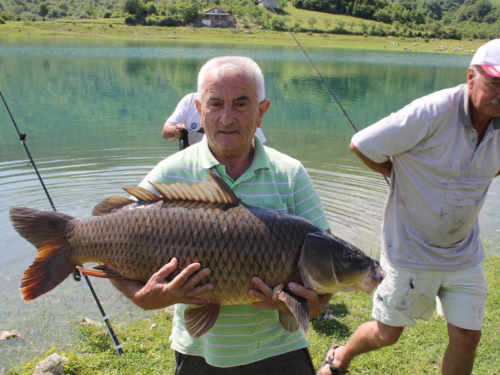 FOTO/VIDEO: U Ramskom jezeru uhvaćen šaran kapitalac od 28,4 kg