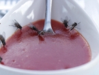 Prirodni proizvod od samo 0.99 centi najbolja je zamka za dosadne muhe