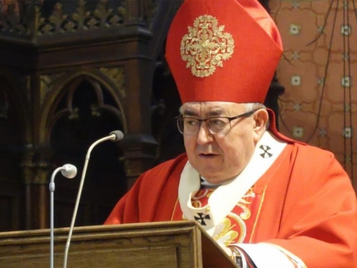 Kardinal Puljić: Božić nas potiče da probudimo duh zajedništva u vjeri