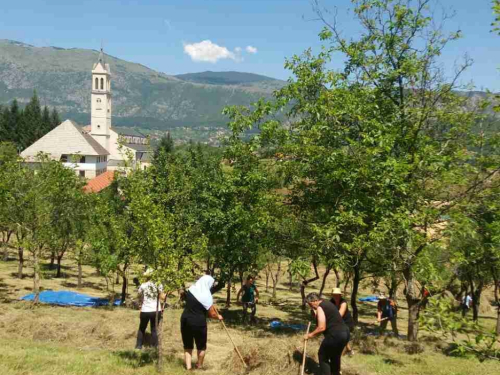 Ramske kupelice pokupile fratarsko sijeno