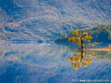 Ramsko jezero - jesen 2014.