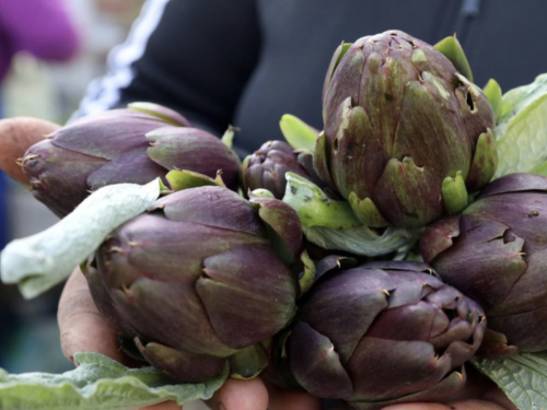 Artičoke – superhrana za probavu, jetru i zdravlje srca