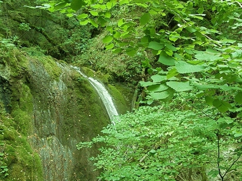 Upoznajmo Ramu: Višnjanski potok