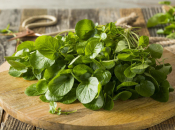 Ovo je najzdravije povrće na svijetu: Ima više vitamina C od naranče!