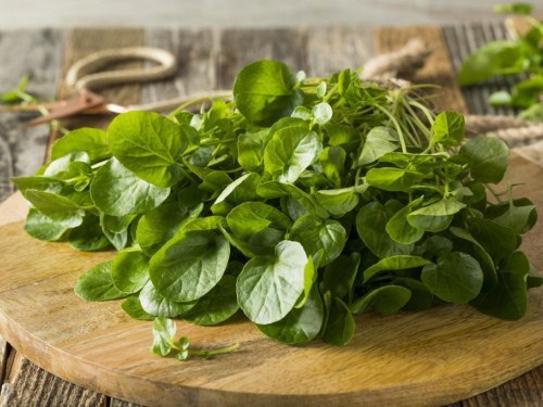 Ovo je najzdravije povrće na svijetu: Ima više vitamina C od naranče!