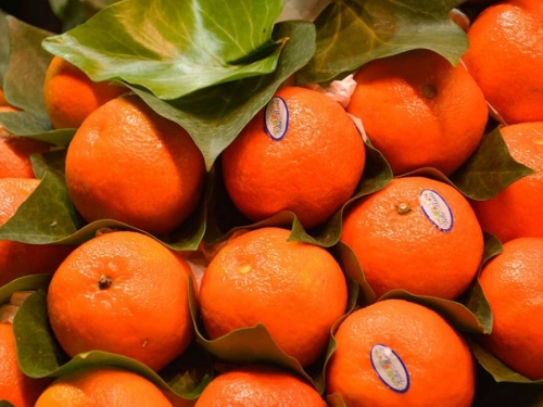 Mandarine pomažu u borbi s lošim kolesterolom