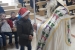 FOTO: Sv. Nikola stigao na Orašac