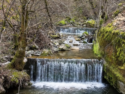 Aktualna tema u Rami: Eco-Crima
