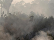 Uništavanje šume u Amazoni za 100 posto veće nego lani