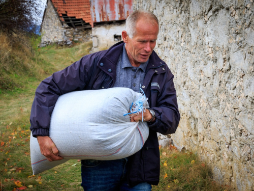 FOTO/VIDEO: Stipo u Rami za 7 dana zaradi prosječnu BiH plaću, evo kako!