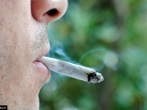 Prosječan pušač ispuši trosoban stan