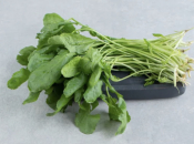 Biljka snažnija od špinata i limuna: Zašto je potočarka pravi dar prirode