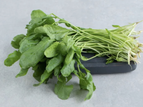 Biljka snažnija od špinata i limuna: Zašto je potočarka pravi dar prirode