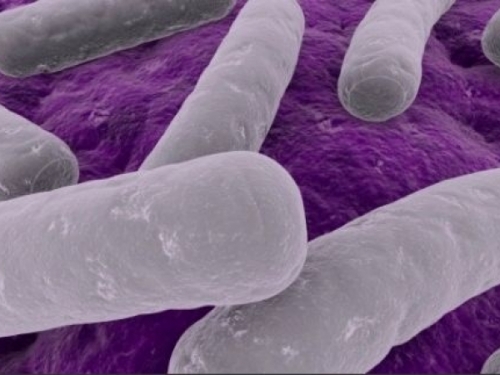 Smrtonosna enterobakterija širi se američkim bolnicama