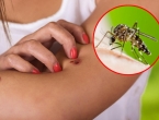 Kako se na jednostavan način zaštititi od komaraca
