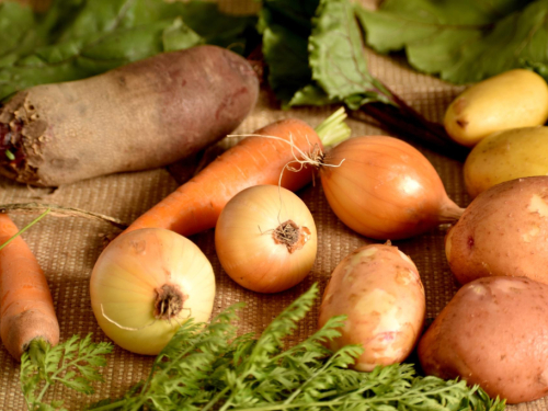 Stavite pepeo u brazdu prije sadnje luka i krumpira i ove godine ostvarite rekordni prinos