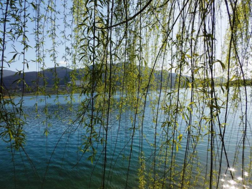 FOTO: Učenici u Eko akciji čišćenja obale Ramskog jezera