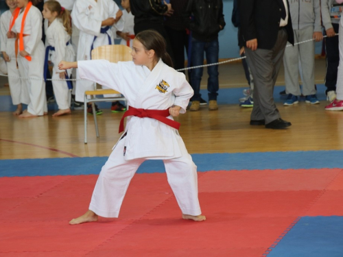 FOTO: Održan sedmi međunarodni karate turnir 'Rama open 2016'