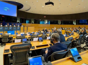 Odbor za vanjske poslove Europskog Parlamenta poziva na žurne reforme u BiH