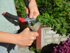 Kako pravilno naoštriti vrtlarske škare