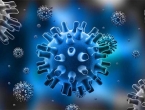 Japan uvozi uzorke smrtonosnih virusa kako bi do Olimpijade razvio antidote