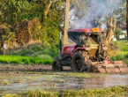 Poplave će utjecati na povećanje cijena poljoprivrednih proizvoda u BiH