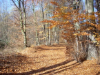 Danas sunčano i prohladno