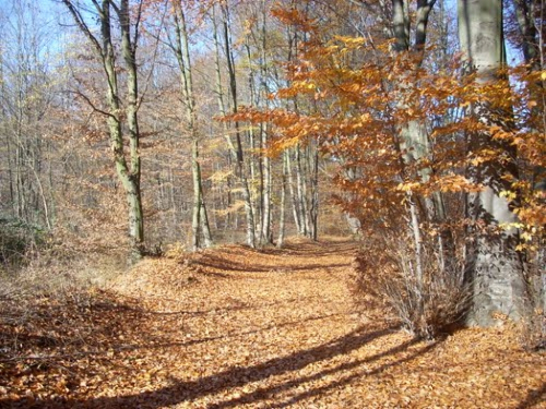 Danas sunčano i prohladno