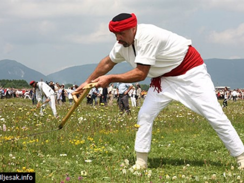 Dani kosidbe ove godine u Kupresu, Bugojnu i Čitluku