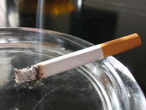 Predlaže se zabrana pušenja u bolnicama i obrazovnim institucijama