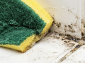 Ovaj mliječni napitak odmah uklanja mrlje od plijesni.