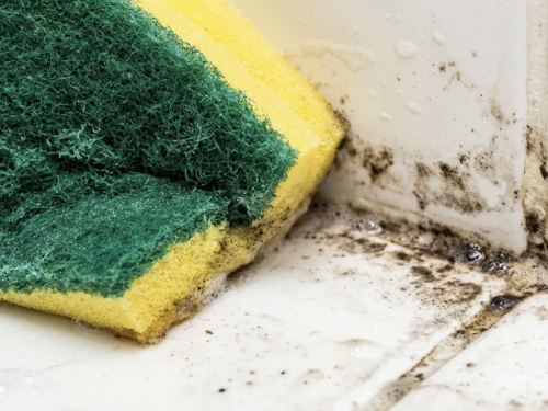 Ovaj mliječni napitak odmah uklanja mrlje od plijesni.