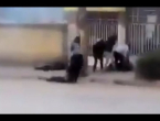 VIDEO:  Iranska garda puca na prosvjednike koji vuku tijela već ubijenih