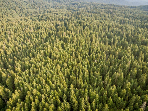 FOTO/VIDEO: Ubo - vrata Vran planine