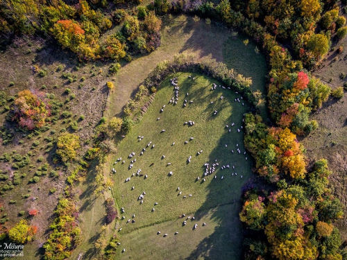 FOTO/VIDEO: Raskošna jesenska ljepota ramskih planina