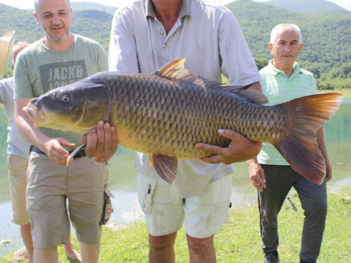 FOTO/VIDEO: U Ramskom jezeru uhvaćen šaran kapitalac od 28,4 kg