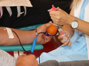 NAJAVA: Akcija dobrovoljnog darivanja krvi u Prozoru