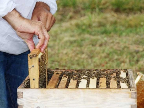 Pčelarima 200.000 KM poticaja od Vlade HNŽ