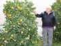 Umirovljenik u vrtu pokraj kuće uzgojio više od tone mandarina i naranača