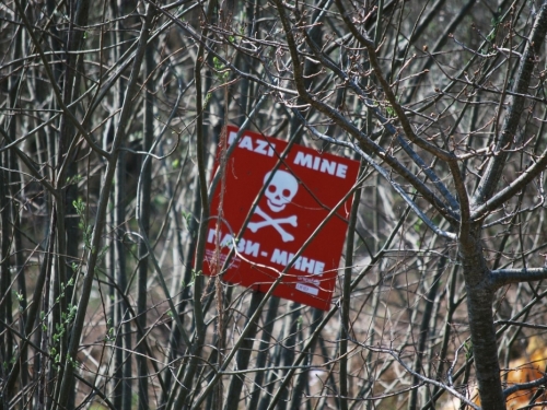 Gornji Vakuf-Uskoplje: U miniranoj šumi nestala 15-godišnja djevojčica