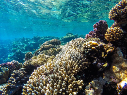 Oceani se zagrijavaju puno brže nego što se mislilo