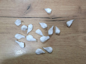 U Prozoru pronađena droga - jedna osoba lišena slobode