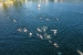 FOTO: Na Ramskom jezeru održan 3. Ramski akvatlon