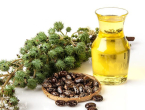 Ricinus i soda bikarbona – snažna kombinacija za mnoge tegobe