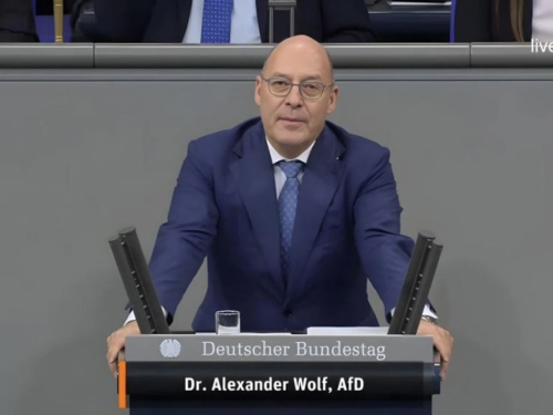 Hrvati i Srbi u BiH ne žele se podvrgnuti muslimanskoj vlasti i postati manjina u vlastitoj zemlji